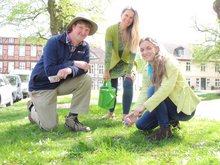 "Bienenfreundliche Samen sind schnell gesät: Dr. Mirko Lunau (Imker & Biologe, v.l.), Monika Göpper (Landesvorstand GRÜNE MV) und Claudia Schulz (Landesvorsitzende GRÜNE MV) machen es vor. Am Sonnabend starten die GRÜNEN MV mit ihrem Aktionsmonat „Bienen – Wir schwärmen für euch!" um für den Erhalt der Artenvielfalt zu werben. (Foto: Anne Kubik)"