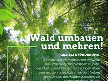 Wir wollen eine gezielte Förderung für Klimaschutz-Maßnahmen im Wald! Die Förderung darf das nicht dazu führen, dass nur Natur- und Klimaschutz nur betrieben werden, wenn sie bezahlt werden.