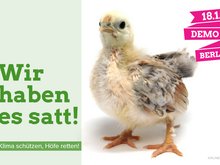 Kommt zur "Wir haben es satt"-Demo am 18. Januar 2020 in Berlin!